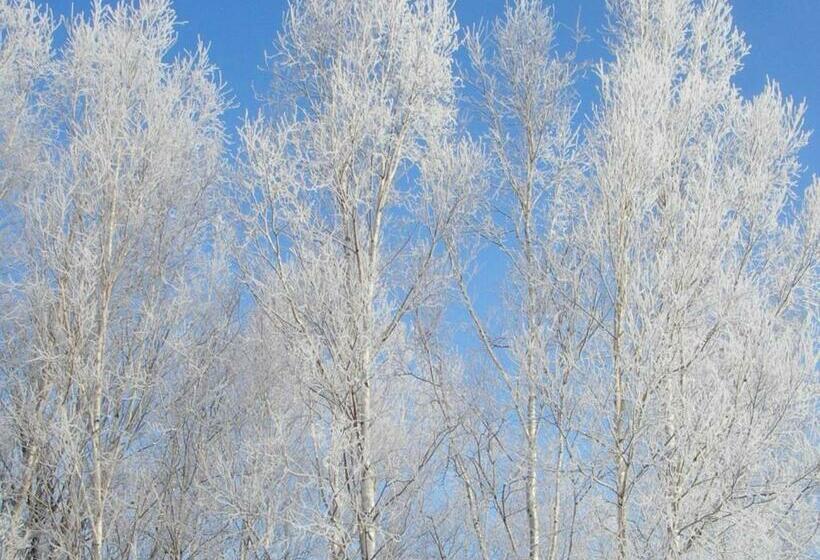 Furano   Hotel / Vacation Stay 35777