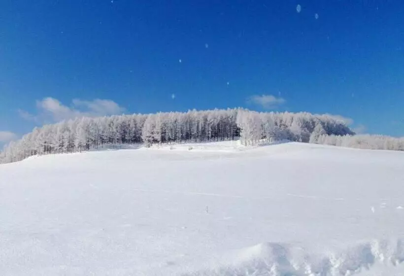 Furano   Hotel / Vacation Stay 35777