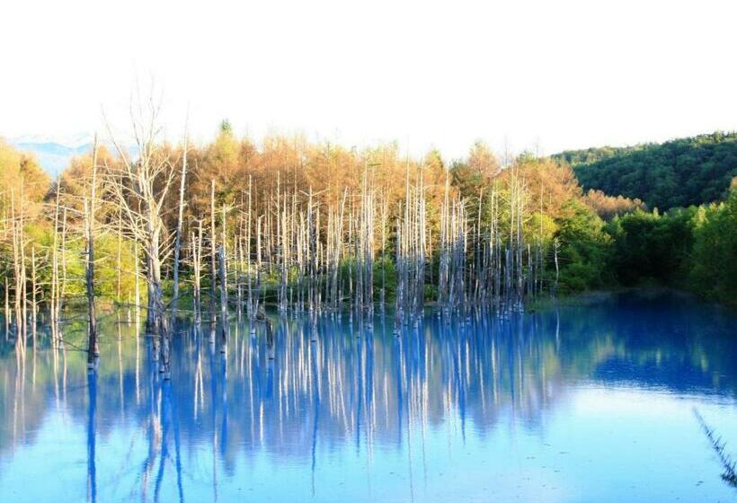 Furano   Hotel / Vacation Stay 35777