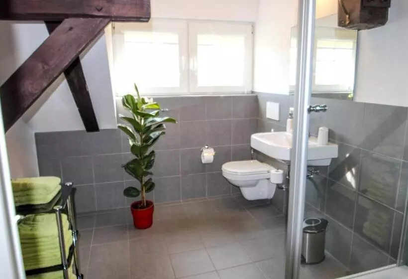 Hotelli Pension Maustmühle