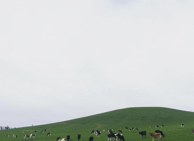 فندق William Tell House