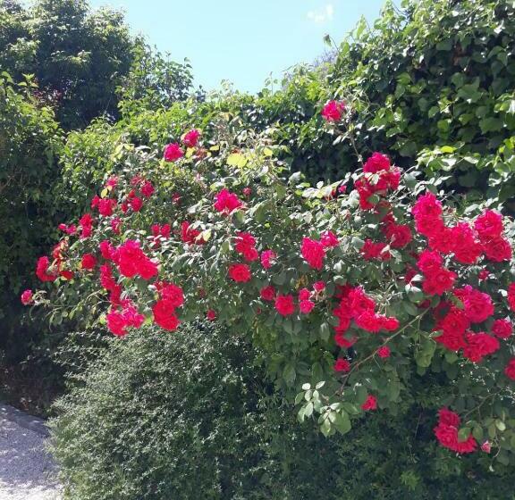 پانسیون Coté Remparts