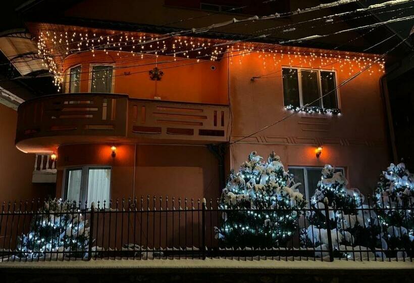 بنسيون Camere De Inchiriat Roman