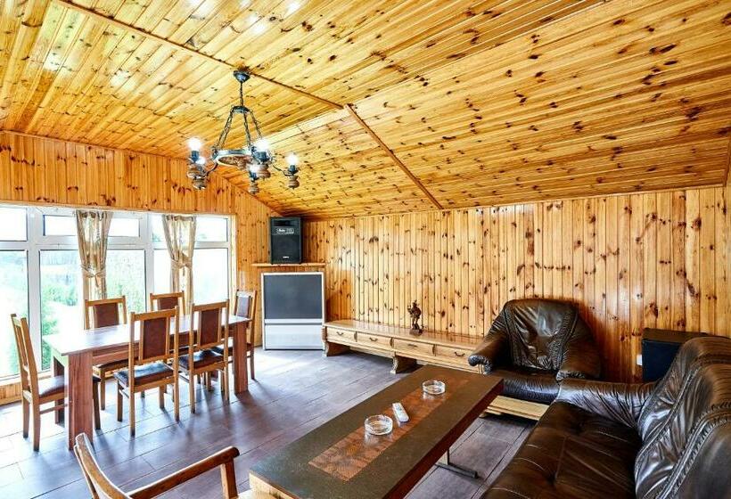 بنسيون Camere De Inchiriat Roman