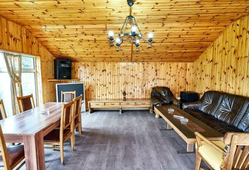 بنسيون Camere De Inchiriat Roman