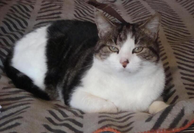 Bed and Breakfast 53bou