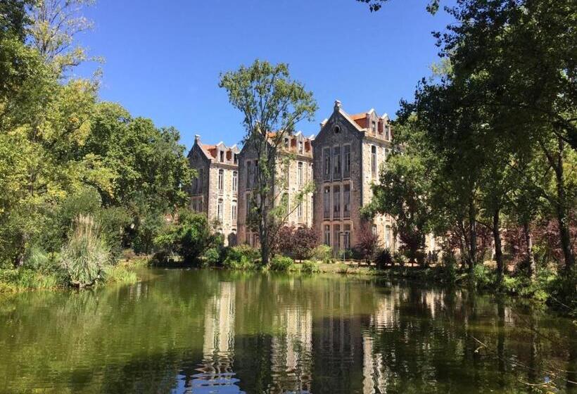 ベッドアンドブレックファースト Casa Das Palmas