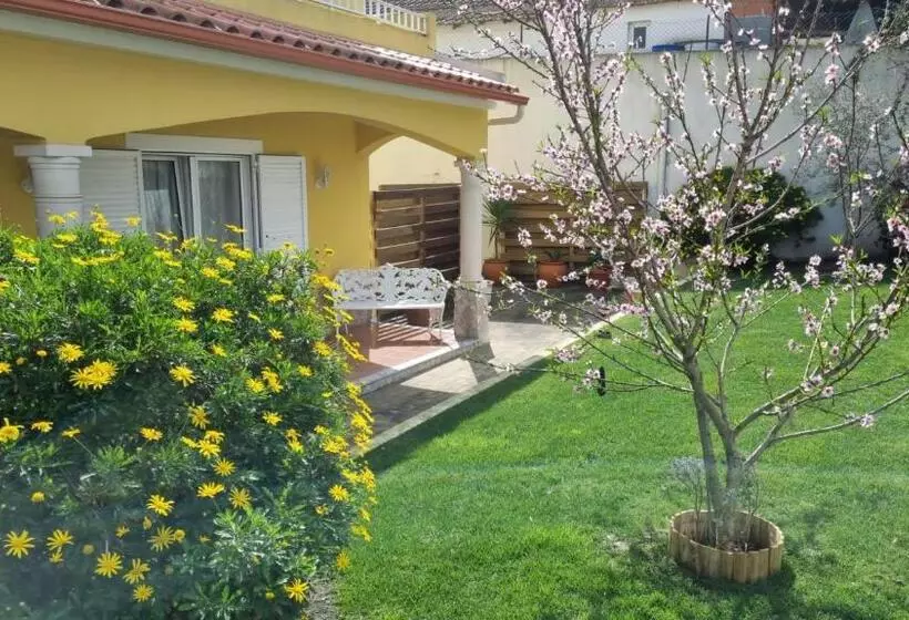 Bed and Breakfast Casa Das Palmas