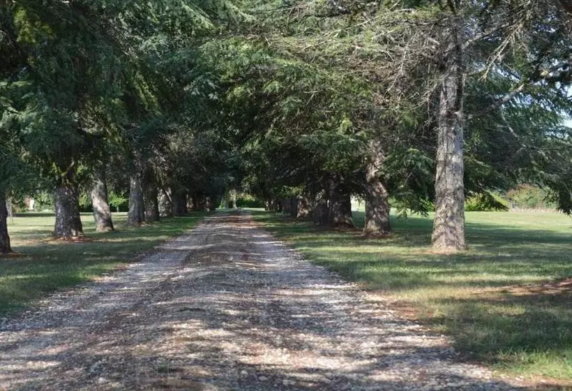 ベッドアンドブレックファースト Château De Cauderoue