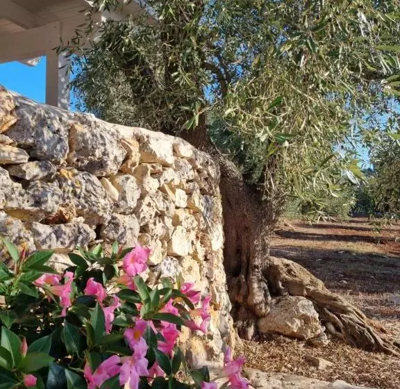 Aamiaismajoitus (B&B) Trulli Di Spinaruta