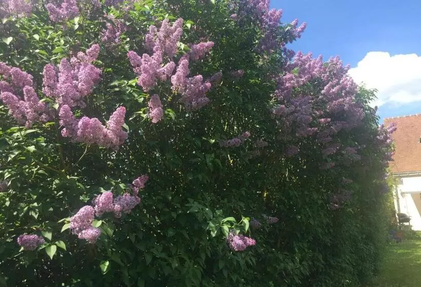 Aamiaismajoitus (B&B) Le Clos Du Golf