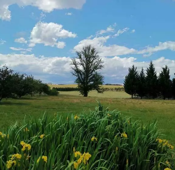 Hotelli Eling Forest Winery