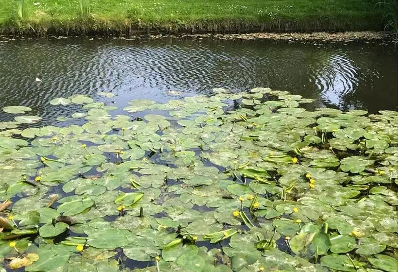 Aamiaismajoitus (B&B) 84huis