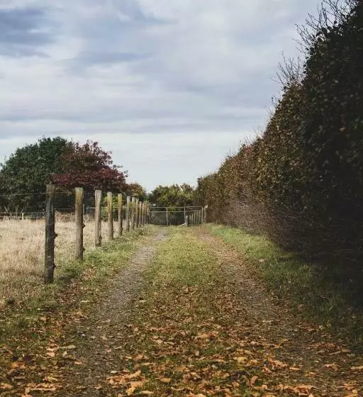 Aamiaismajoitus (B&B) Kakariki Cottage