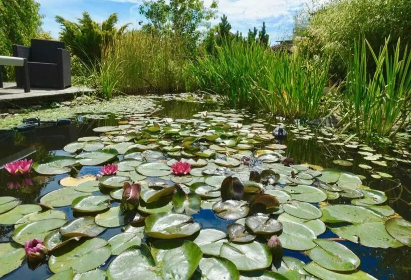 ベッドアンドブレックファースト Les Nymphéas 52