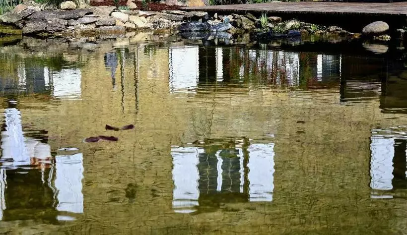 ベッドアンドブレックファースト Les Nymphéas 52