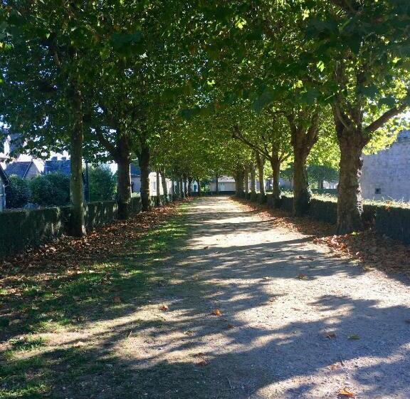 Bed and Breakfast Manurêva Chambre D Hôte En Coeur De Ville