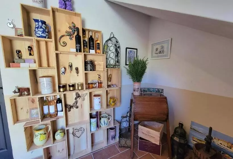 Aamiaismajoitus (B&B) Villa Tropez Chambres D Hôtes