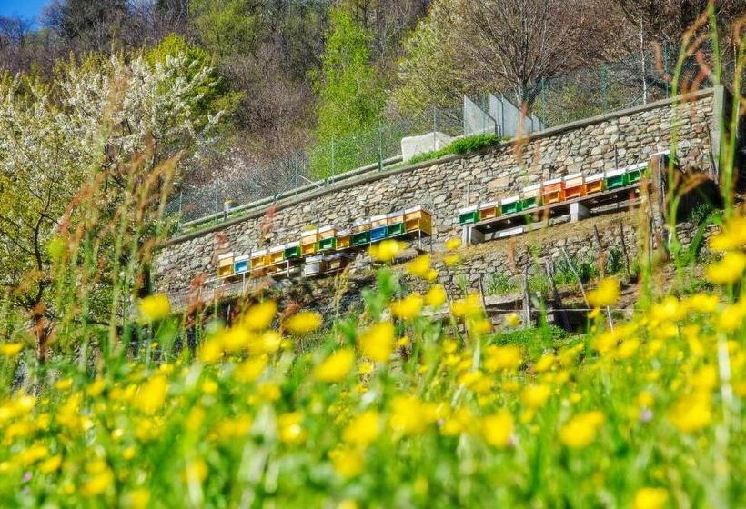 酒店 Agriturismo Luloc