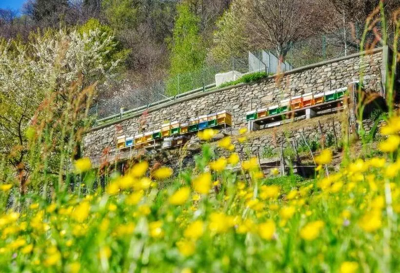 ホテル Agriturismo Luloc
