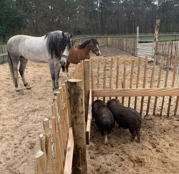 Hotelli Duynparc Soest