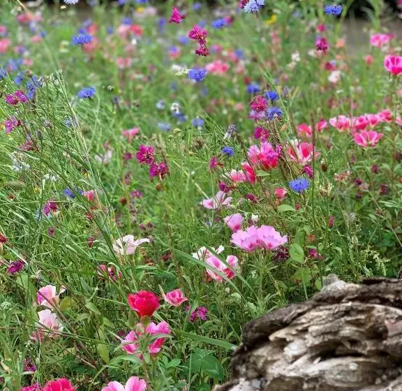 Hotelli Duynparc Soest