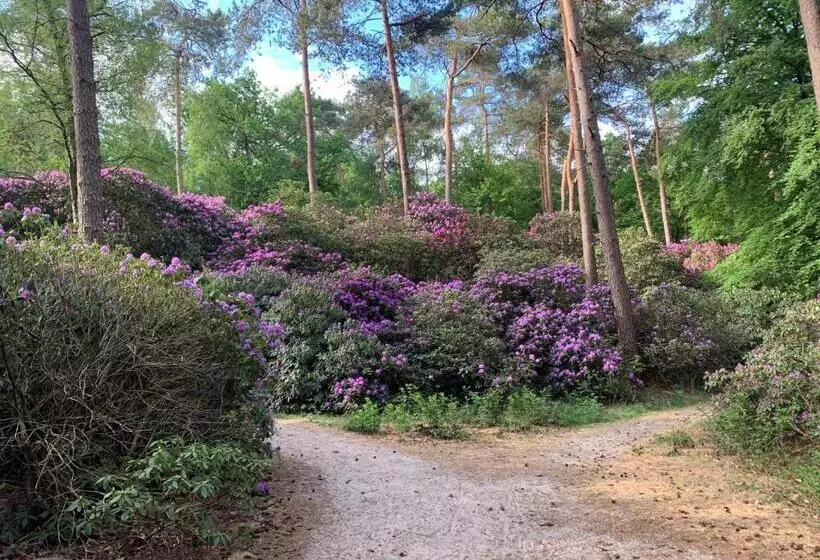 Hotelli Duynparc Soest