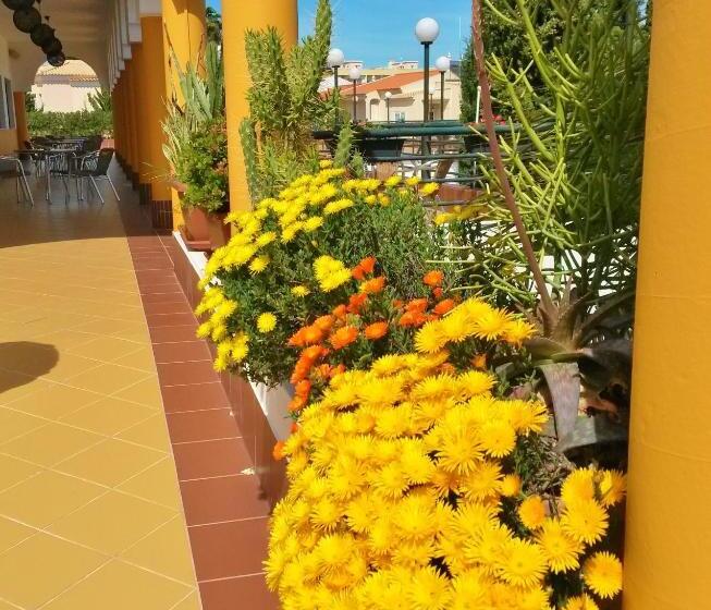 تختخواب و صبحانه Rialgarve