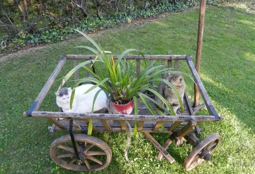 Bed & Breakfast Pegaso