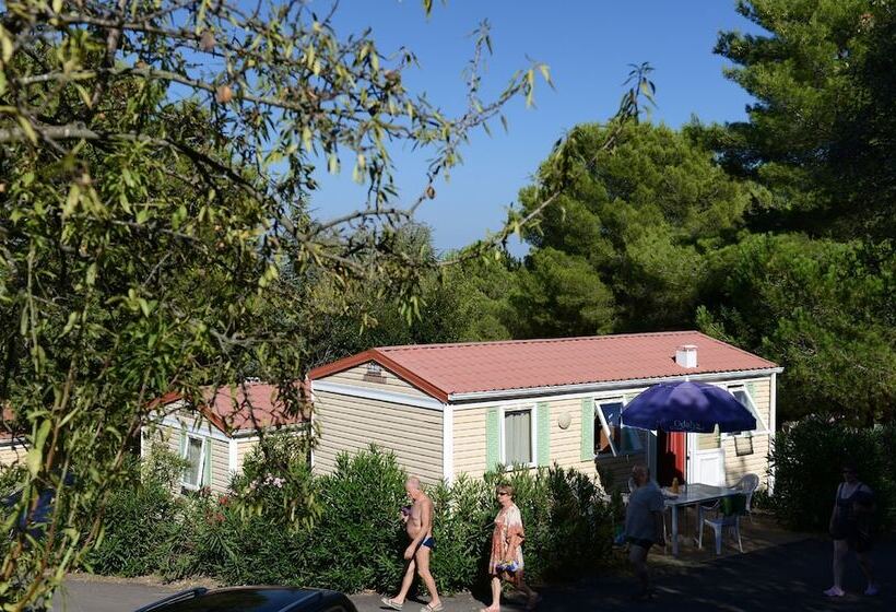 Domaine Résidentiel De Plein Air Odalys La Pinède