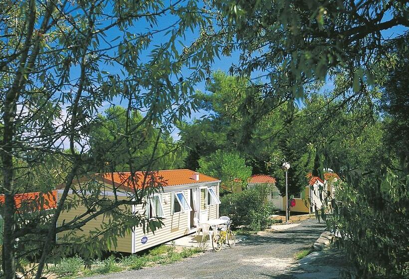 Domaine Résidentiel De Plein Air Odalys La Pinède