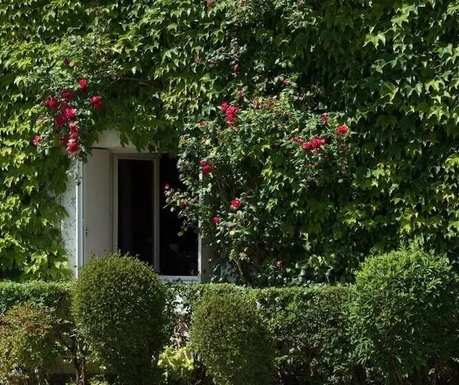 Отель Chateau Meyre