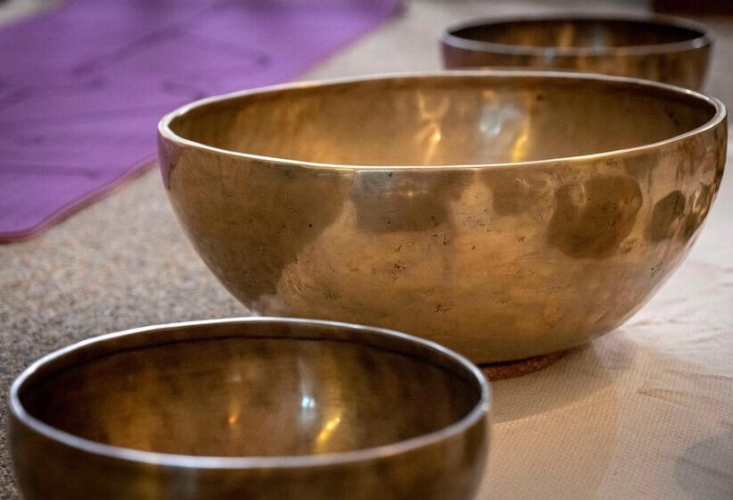 酒店 Chateau Meyre