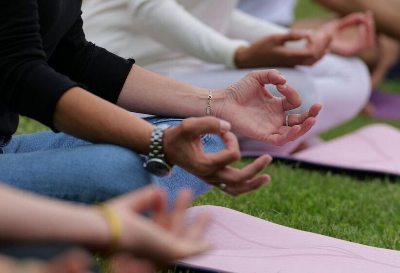 酒店 Chateau Meyre