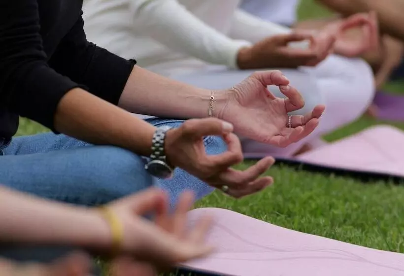 Отель Chateau Meyre