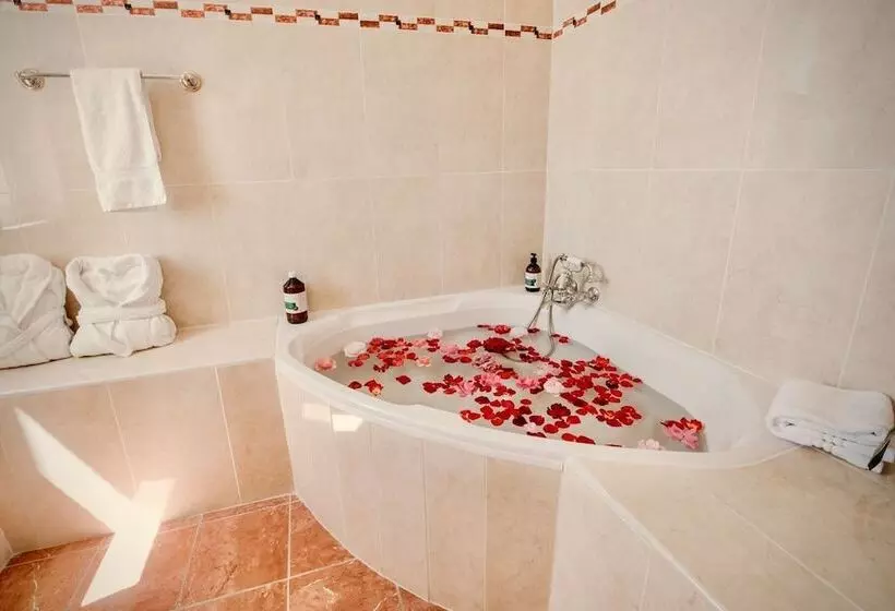 Отель Chateau Meyre