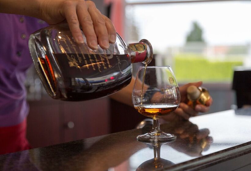 酒店 The Originals City, Hôtel Hélios, Roanne Nord