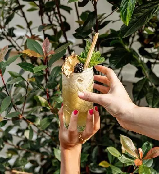 Hotel Verno House Budapest, Vignette Collection, An Ihg