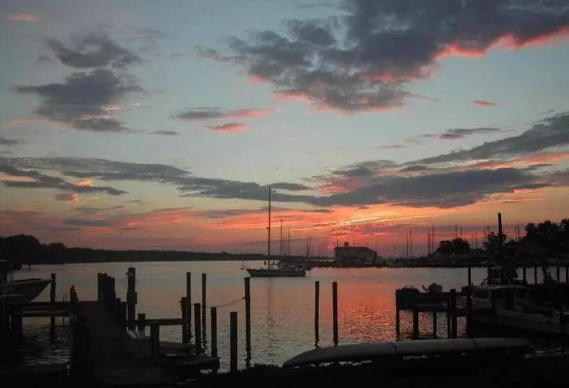 Blue Heron Inn   A Bed And Breakfast Llc