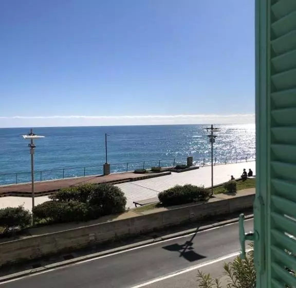 Majatalo Camera Carolina