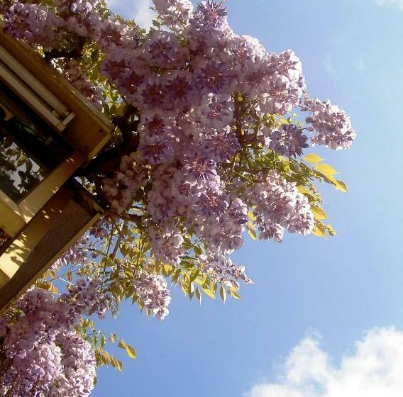 بنسيون Chambre D Hôtes De Le Halle