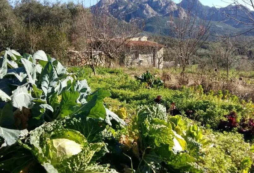 پانسیون La Casetta