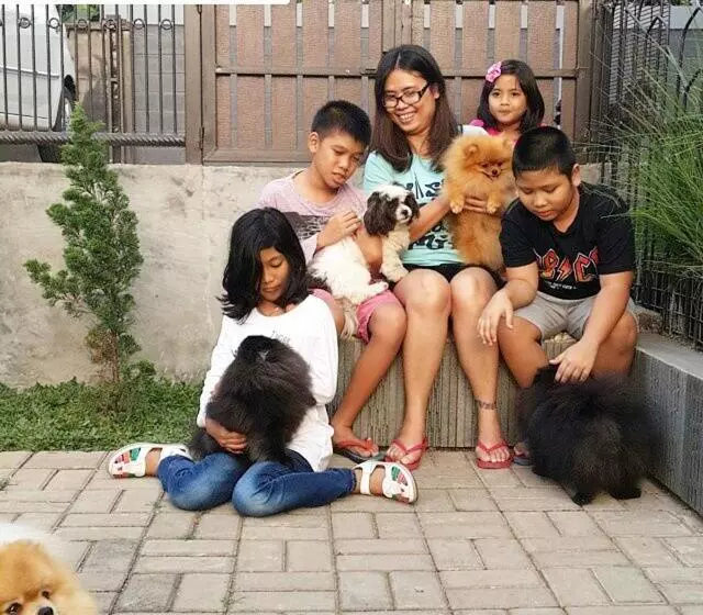 Majatalo Mj S Guesthouse Dog Lovers