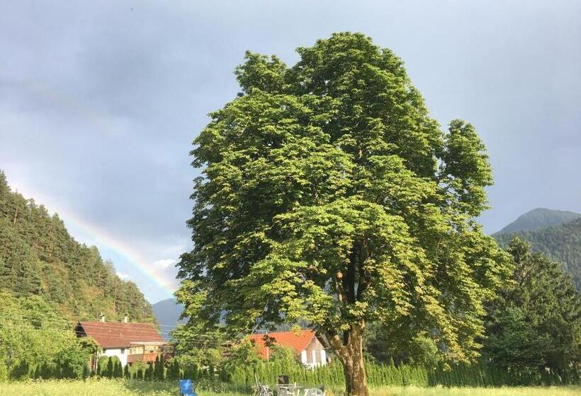 Пансион Villa Fortuna