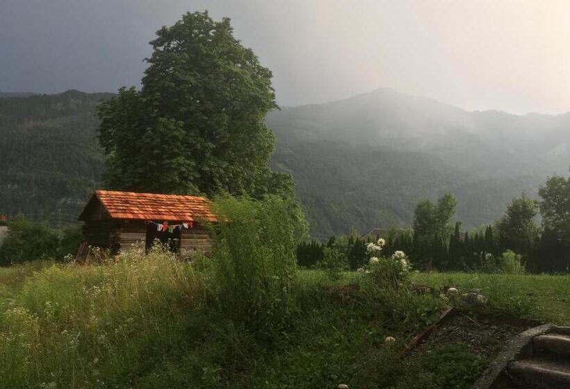 Пансион Villa Fortuna