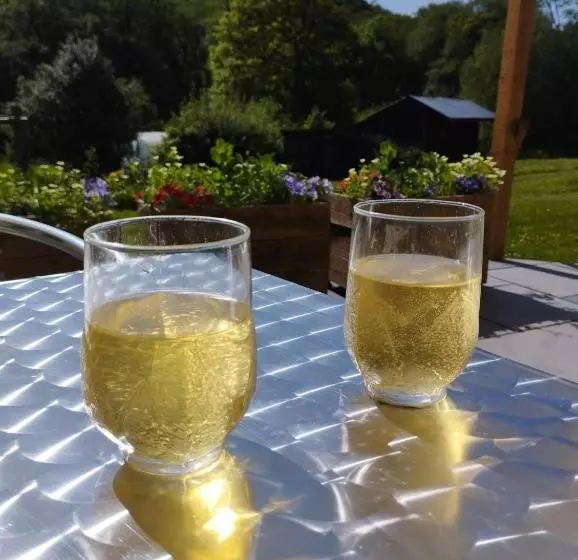 Aamiaismajoitus (B&B) Wray Valley