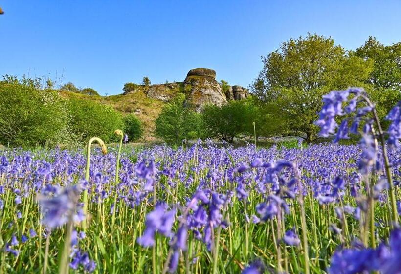 Bed and Breakfast Wray Valley
