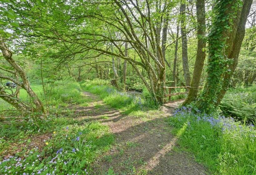 Bed and Breakfast Wray Valley