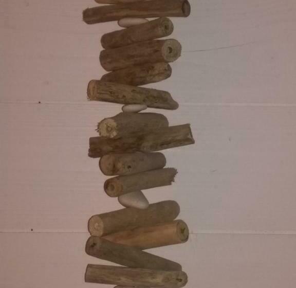 צימר La Cabane Bordeaux St Augustin