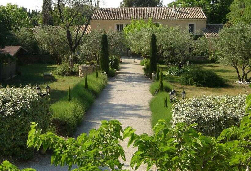 مبيت وإفطار Mas Solige